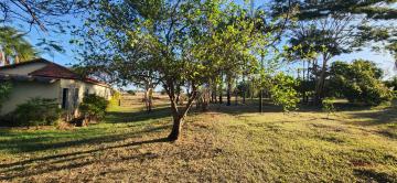 Comprar Rural / S&iacute;tio em Ipigu&aacute; R$ 2.000.000,00 - Foto 6