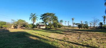 Comprar Rural / S&iacute;tio em Ipigu&aacute; R$ 2.000.000,00 - Foto 7