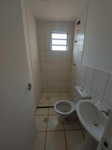 Alugar Apartamento / Padr&atilde;o em S&atilde;o Jos&eacute; do Rio Preto R$ 700,00 - Foto 7
