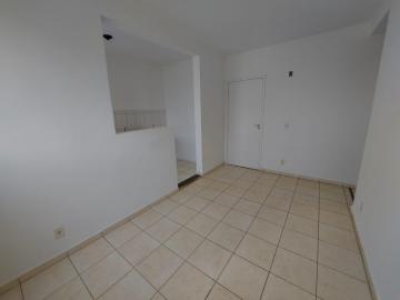 Alugar Apartamento / Padr&atilde;o em S&atilde;o Jos&eacute; do Rio Preto R$ 700,00 - Foto 2
