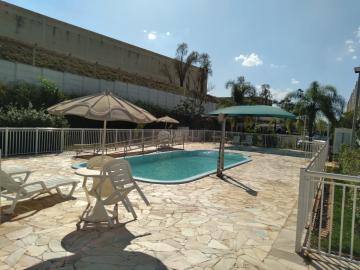 Alugar Apartamento / Padr&atilde;o em S&atilde;o Jos&eacute; do Rio Preto R$ 1.000,00 - Foto 12