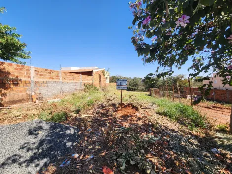 Terreno / Padr&atilde;o em Palestina 