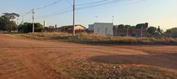 Alugar Terreno / &Aacute;rea em Ipigu&aacute; R$ 3.200,00 - Foto 2