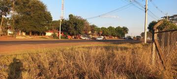 Alugar Terreno / &Aacute;rea em Ipigu&aacute; R$ 3.200,00 - Foto 4
