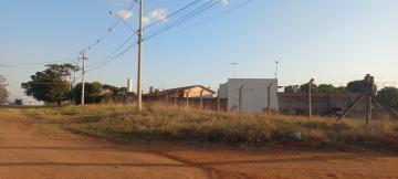 Alugar Terreno / &Aacute;rea em Ipigu&aacute; R$ 3.200,00 - Foto 7