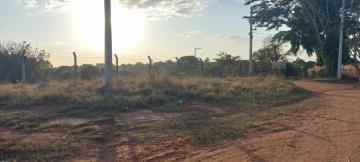 Alugar Terreno / &Aacute;rea em Ipigu&aacute; R$ 3.200,00 - Foto 11