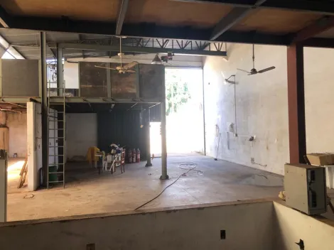 Alugar Comercial / Sal&atilde;o em S&atilde;o Jos&eacute; do Rio Preto. apenas R$ 3.700,00