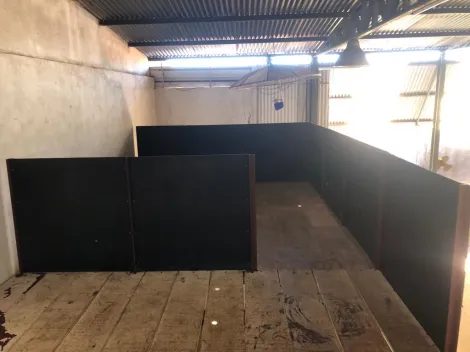 Alugar Comercial / Sal&atilde;o em S&atilde;o Jos&eacute; do Rio Preto R$ 3.700,00 - Foto 6