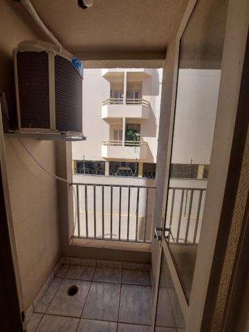 Alugar Apartamento / Padr&atilde;o em S&atilde;o Jos&eacute; do Rio Preto R$ 1.100,00 - Foto 4