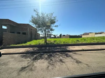Terreno / Padr&atilde;o em S&atilde;o Jos&eacute; do Rio Preto 