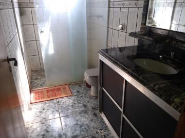 Comprar Rural / Ch&aacute;cara em S&atilde;o Jos&eacute; do Rio Preto R$ 1.300.000,00 - Foto 12