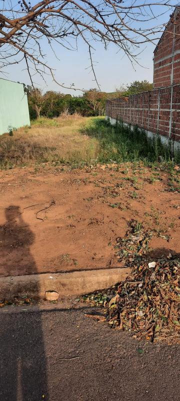 Alugar Terreno / Padr&atilde;o em Adolfo. apenas R$ 90.000,00