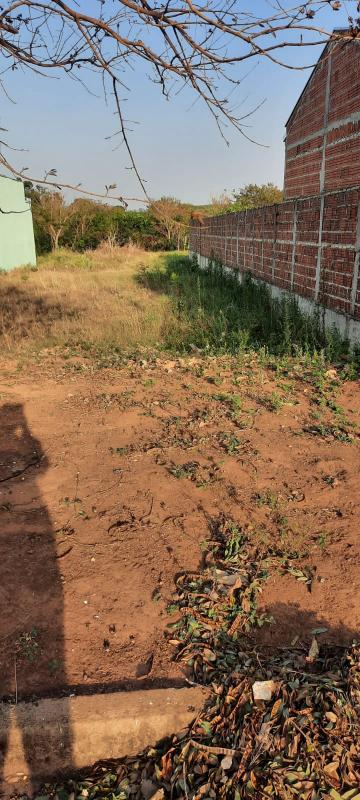 Comprar Terreno / Padr&atilde;o em Adolfo R$ 90.000,00 - Foto 2