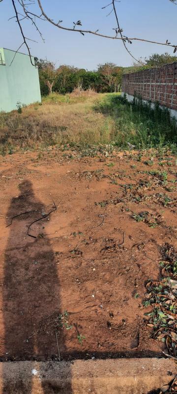 Comprar Terreno / Padr&atilde;o em Adolfo R$ 90.000,00 - Foto 3