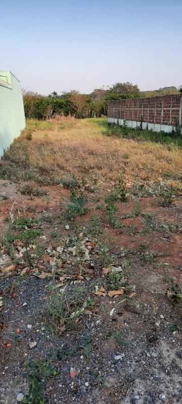 Comprar Terreno / Padr&atilde;o em Adolfo R$ 90.000,00 - Foto 4