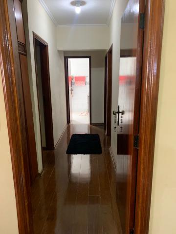 Comprar Apartamento / Padr&atilde;o em S&atilde;o Jos&eacute; do Rio Preto R$ 530.000,00 - Foto 8