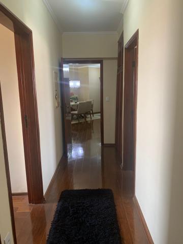 Comprar Apartamento / Padr&atilde;o em S&atilde;o Jos&eacute; do Rio Preto R$ 530.000,00 - Foto 20