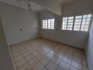 Alugar Casa / Padr&atilde;o em S&atilde;o Jos&eacute; do Rio Preto R$ 4.700,00 - Foto 7