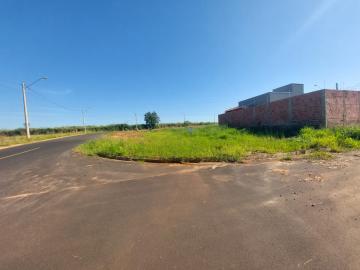 Terreno / Padr&atilde;o em Bady Bassitt 