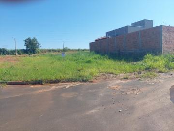 Comprar Terreno / Padr&atilde;o em Bady Bassitt R$ 85.000,00 - Foto 5