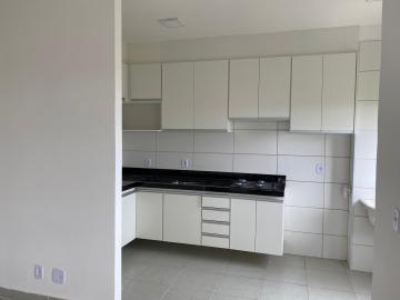 Alugar Apartamento / Padr&atilde;o em S&atilde;o Jos&eacute; do Rio Preto R$ 1.500,00 - Foto 30