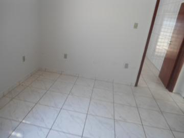 Alugar Casa / Padr&atilde;o em S&atilde;o Jos&eacute; do Rio Preto R$ 1.398,00 - Foto 7