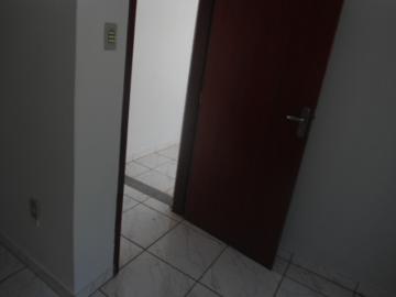 Alugar Casa / Padr&atilde;o em S&atilde;o Jos&eacute; do Rio Preto R$ 1.398,00 - Foto 12