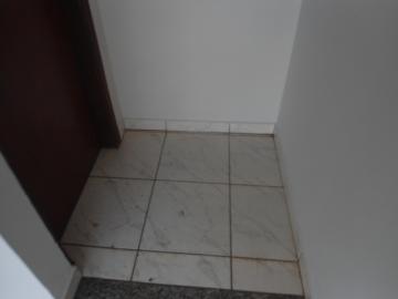 Alugar Casa / Padr&atilde;o em S&atilde;o Jos&eacute; do Rio Preto R$ 1.398,00 - Foto 8