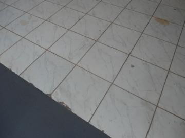 Alugar Casa / Padr&atilde;o em S&atilde;o Jos&eacute; do Rio Preto R$ 1.398,00 - Foto 13