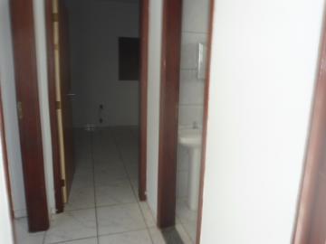 Alugar Casa / Padr&atilde;o em S&atilde;o Jos&eacute; do Rio Preto R$ 1.398,00 - Foto 14
