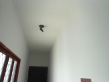 Alugar Casa / Padr&atilde;o em S&atilde;o Jos&eacute; do Rio Preto R$ 1.398,00 - Foto 16