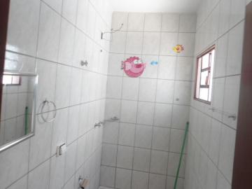 Alugar Casa / Padr&atilde;o em S&atilde;o Jos&eacute; do Rio Preto R$ 1.398,00 - Foto 18
