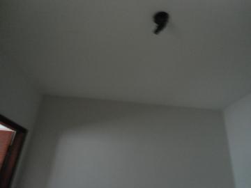 Alugar Casa / Padr&atilde;o em S&atilde;o Jos&eacute; do Rio Preto R$ 1.398,00 - Foto 26