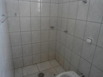 Alugar Casa / Padr&atilde;o em S&atilde;o Jos&eacute; do Rio Preto R$ 1.398,00 - Foto 30