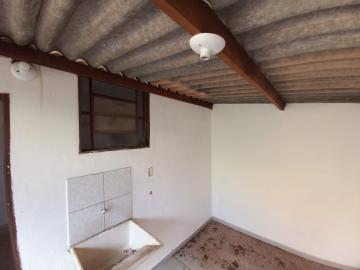 Alugar Casa / Padr&atilde;o em S&atilde;o Jos&eacute; do Rio Preto R$ 700,00 - Foto 7