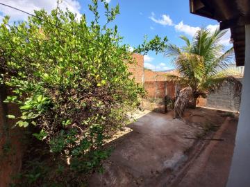 Alugar Casa / Padr&atilde;o em S&atilde;o Jos&eacute; do Rio Preto R$ 700,00 - Foto 9