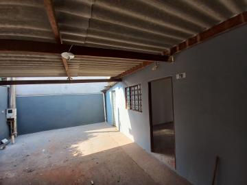 Alugar Casa / Padr&atilde;o em S&atilde;o Jos&eacute; do Rio Preto R$ 700,00 - Foto 11