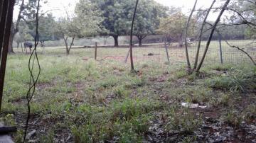 Comprar Terreno / &Aacute;rea em S&atilde;o Jos&eacute; do Rio Preto R$ 8.000.000,00 - Foto 6