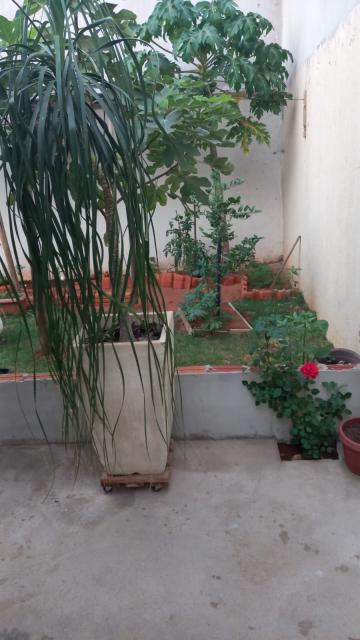 Alugar Casa / Padr&atilde;o em S&atilde;o Jos&eacute; do Rio Preto R$ 1.230,00 - Foto 22