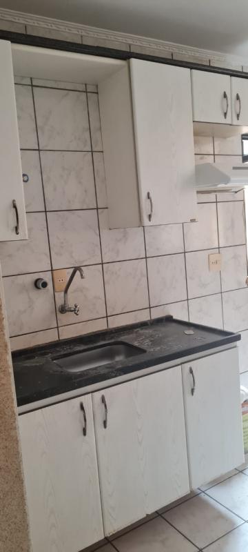 Alugar Apartamento / Padr&atilde;o em S&atilde;o Jos&eacute; do Rio Preto R$ 1.200,00 - Foto 5
