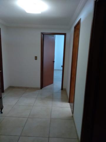 Alugar Apartamento / Padr&atilde;o em S&atilde;o Jos&eacute; do Rio Preto R$ 2.000,00 - Foto 11