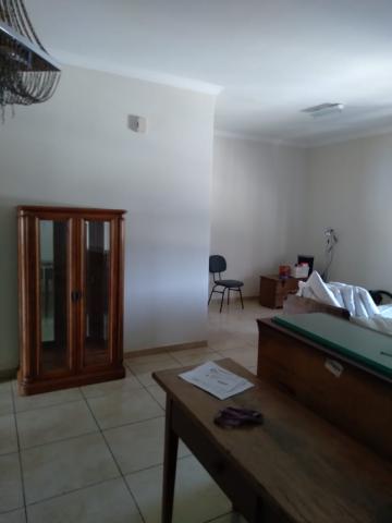 Alugar Apartamento / Padr&atilde;o em S&atilde;o Jos&eacute; do Rio Preto R$ 2.000,00 - Foto 16