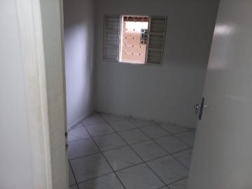Alugar Casa / Padr&atilde;o em S&atilde;o Jos&eacute; do Rio Preto R$ 1.200,00 - Foto 7