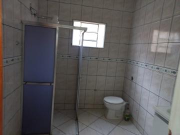 Alugar Casa / Padr&atilde;o em S&atilde;o Jos&eacute; do Rio Preto R$ 1.200,00 - Foto 10