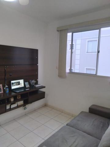 Comprar Apartamento / Padr&atilde;o em S&atilde;o Jos&eacute; do Rio Preto R$ 200.000,00 - Foto 8
