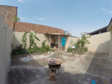 Alugar Casa / Padr&atilde;o em S&atilde;o Jos&eacute; do Rio Preto R$ 900,00 - Foto 13