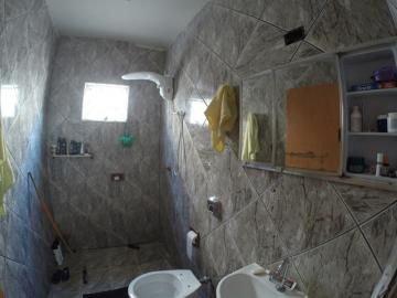 Alugar Casa / Padr&atilde;o em S&atilde;o Jos&eacute; do Rio Preto R$ 900,00 - Foto 7