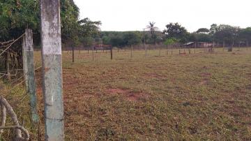 Comprar Terreno / &Aacute;rea em S&atilde;o Jos&eacute; do Rio Preto R$ 375.000,00 - Foto 2