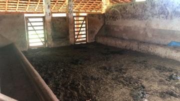 Comprar Rural / S&iacute;tio em Potirendaba R$ 5.500.000,00 - Foto 11