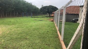 Comprar Rural / S&iacute;tio em Potirendaba R$ 5.500.000,00 - Foto 8